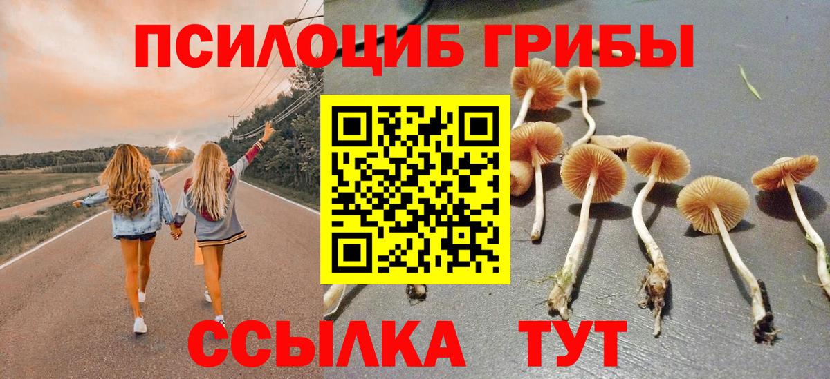 дарнет шоп  Вход с VPN  Губаха  Галлюциногенные грибы мицелий 